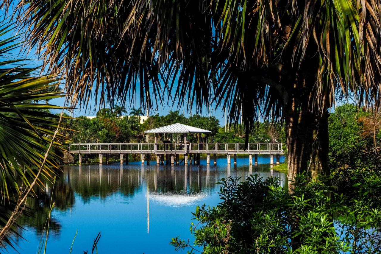 Freedom Park, Boardwalk, water, Palm Trees