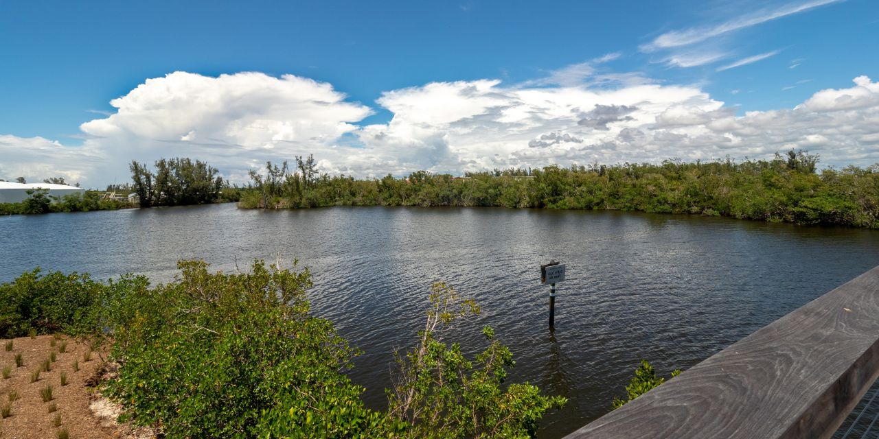 Gordon River, Baker Park, Naples Florida