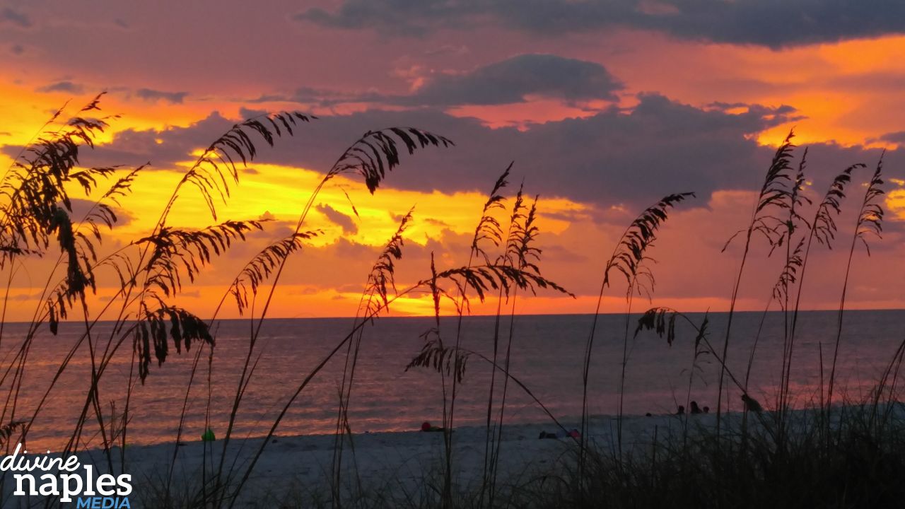 Lowdermilk Park - Naples, Florida